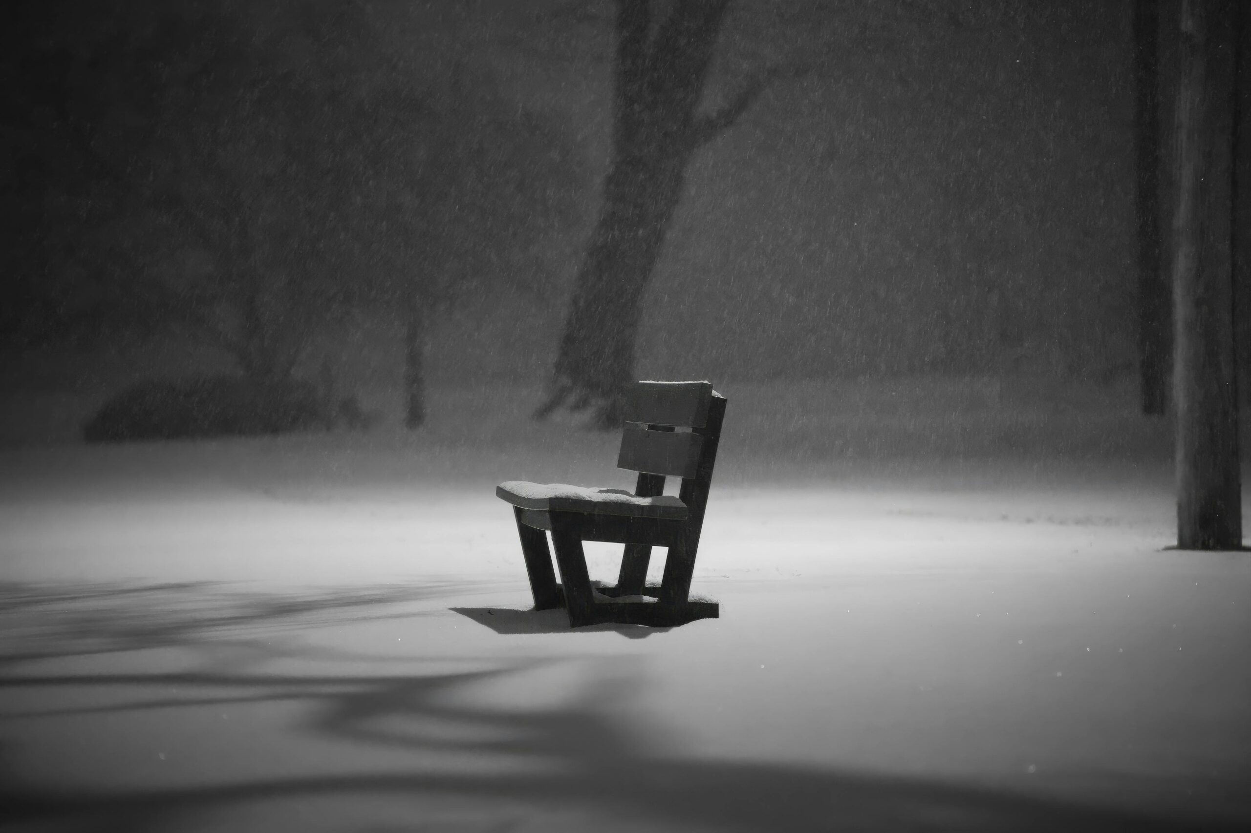 pexels-cara-denison-886614634-35396745